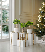 Load image into Gallery viewer, Arctic Whisper stand:one_stand
