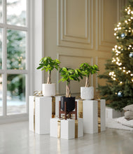 Load image into Gallery viewer, Midnight Snow stand:one_stand
