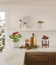 Load image into Gallery viewer, Ivory Peaks stand:one_stand
