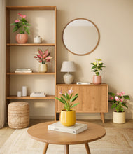 Load image into Gallery viewer, Evening Sky
