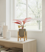 Load image into Gallery viewer, Olive stand:bamboo
