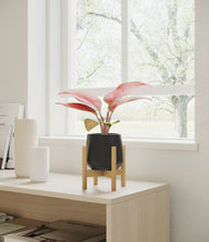 Load image into Gallery viewer, Black stand:bamboo
