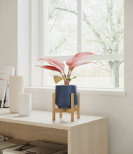 Load image into Gallery viewer, Deep Navy stand:bamboo
