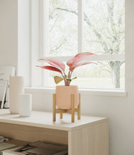 Load image into Gallery viewer, Gentle Pink stand:bamboo
