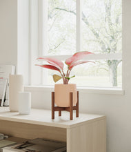 Load image into Gallery viewer, Gentle Pink stand:walnut
