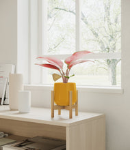Load image into Gallery viewer, Mustard stand:bamboo
