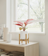 Load image into Gallery viewer, White stand:bamboo
