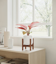 Load image into Gallery viewer, White stand:walnut
