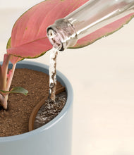 Load image into Gallery viewer, Misty Blue stand:all
