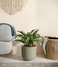 Load image into Gallery viewer, Sage Green
