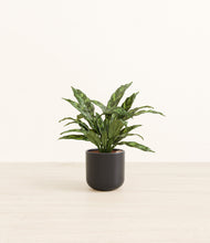 Load image into Gallery viewer, Stone Black*****Profile
