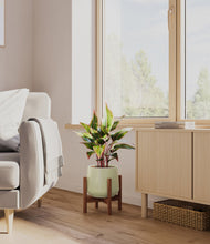 Load image into Gallery viewer, Turquoise stand:walnut
