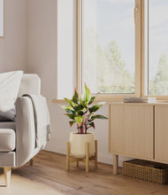 Load image into Gallery viewer, Almond Green stand:bamboo
