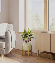 Load image into Gallery viewer, Turquoise stand:bamboo
