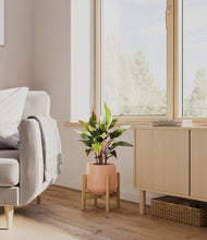 Load image into Gallery viewer, Calm Rose stand:bamboo
