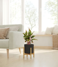 Load image into Gallery viewer, Black stand:bamboo
