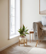 Load image into Gallery viewer, Shiny EggWhite stand:bamboo
