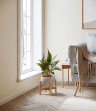 Load image into Gallery viewer, Desert Brown stand:bamboo
