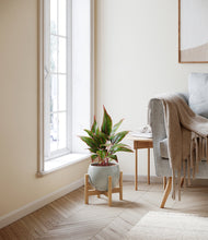 Load image into Gallery viewer, Deep Ocean stand:bamboo
