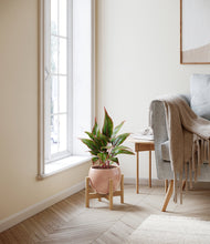 Load image into Gallery viewer, Calm Rose stand:bamboo
