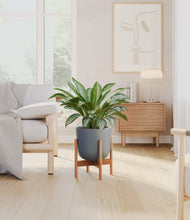 Load image into Gallery viewer, Iron Gray stand:bamboo
