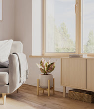 Load image into Gallery viewer, Eternal Gray stand:bamboo
