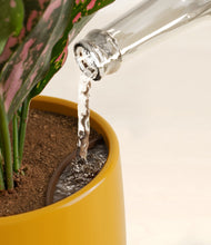 Load image into Gallery viewer, Mustard stand:all
