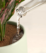 Load image into Gallery viewer, Turquoise stand:all
