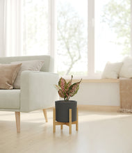 Load image into Gallery viewer, Dark Olive stand:bamboo
