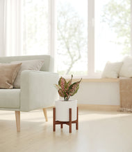 Load image into Gallery viewer, White stand:walnut
