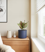 Load image into Gallery viewer, Deep Navy
