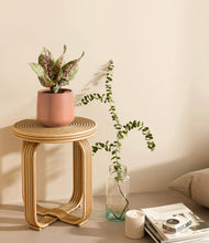 Load image into Gallery viewer, Calm Rose
