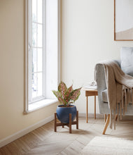 Load image into Gallery viewer, Deep Navy stand:walnut
