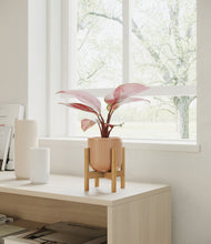 Load image into Gallery viewer, Striped Peach Pink stand:bamboo

