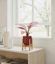 Load image into Gallery viewer, Striped Cherry Red stand:bamboo
