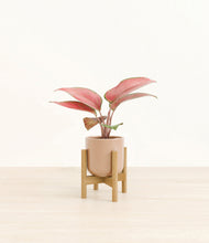 Load image into Gallery viewer, Glossy Pink stand:bamboo
