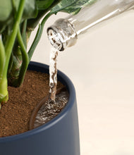 Load image into Gallery viewer, Deep Navy stand:all
