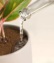 Load image into Gallery viewer, Eternal Gray stand:all
