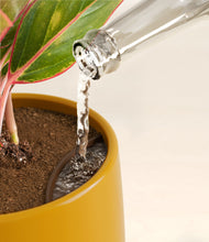 Load image into Gallery viewer, Mustard stand:all
