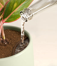 Load image into Gallery viewer, Turquoise stand:all
