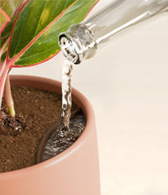 Load image into Gallery viewer, Calm Rose stand:all
