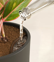 Load image into Gallery viewer, Dark Olive stand:all
