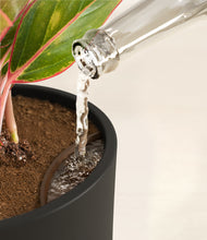 Load image into Gallery viewer, Black stand:all
