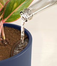 Load image into Gallery viewer, Deep Navy stand:all
