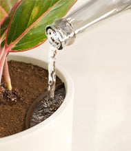 Load image into Gallery viewer, Cream stand:all
