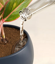 Load image into Gallery viewer, Deep Navy stand:all
