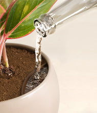 Load image into Gallery viewer, Desert Brown stand:all
