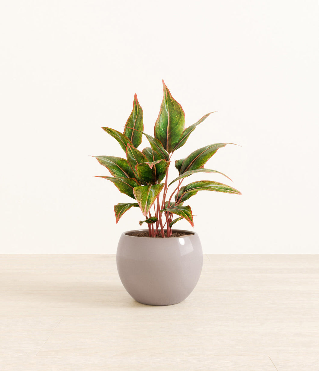 Winter Clouds*****Profile