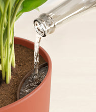 Load image into Gallery viewer, Earth Red stand:all
