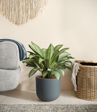 Load image into Gallery viewer, Iron Gray
